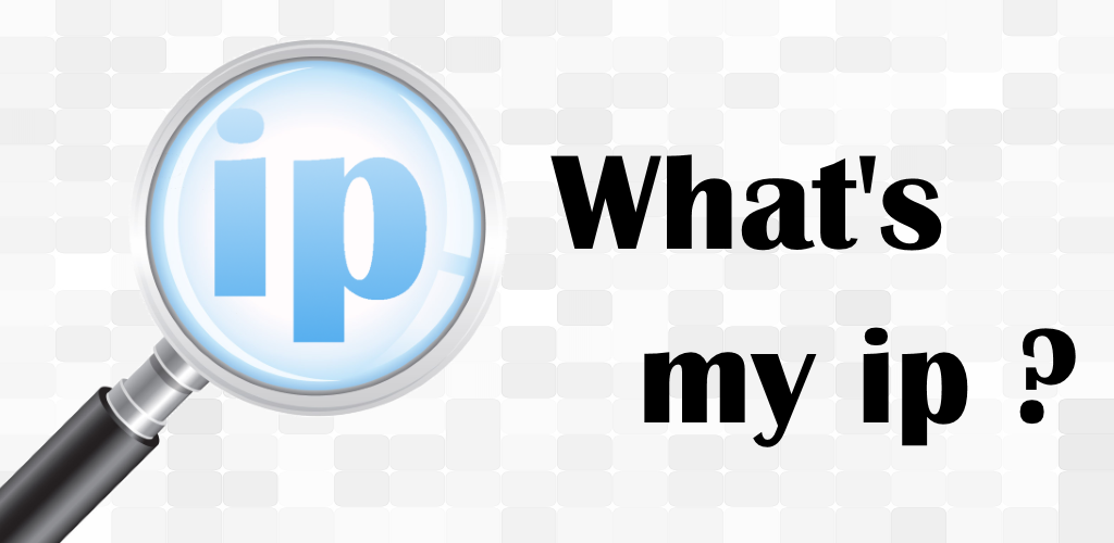 'What's my IP' app-screen